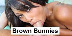 Brown Bunnies Video Channel