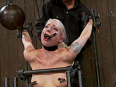 Cute Lorelei Lee gets tortured and toyed by a machine