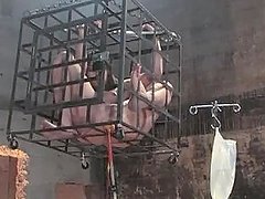 She Gets out of the Cage to get Fucked